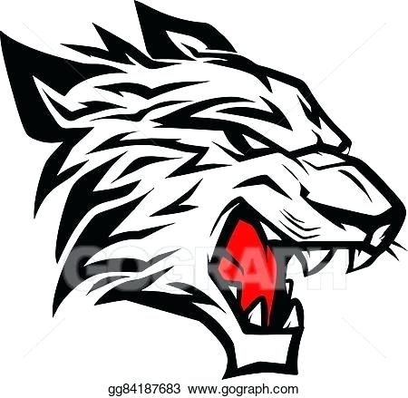 450x439 Tiger Drawing