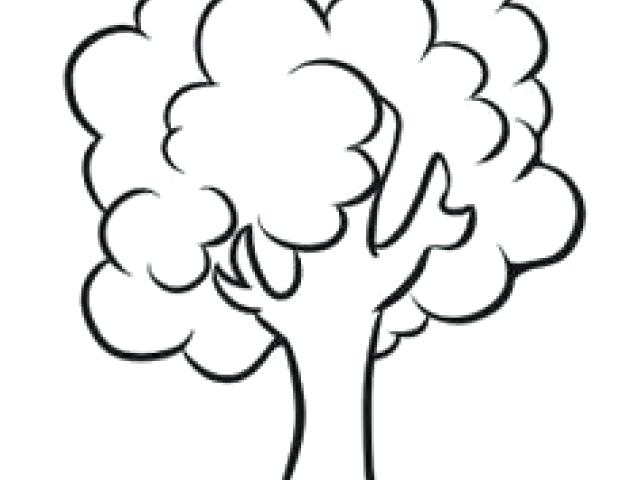 640x480 Simple Tree Drawing Simple Tree Drawings Simple Tree Drawing
