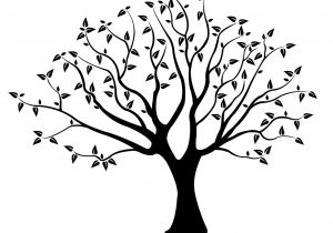 300x210 Simple Tree Drawing Tree Drawing With Roots Tree Drawing
