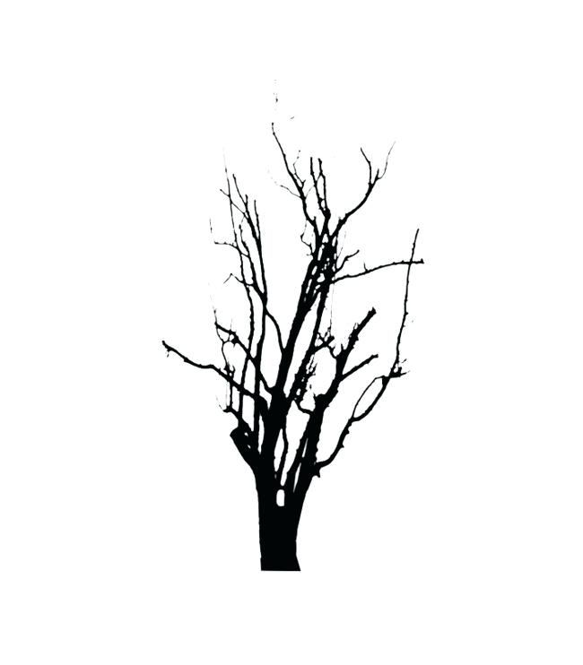 650x742 Tree In Winter Drawing Simple Winter Tree Drawing Zupa
