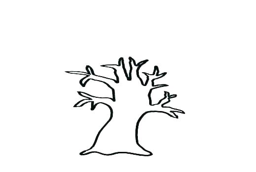 520x350 Simple Tree Outline Simple Tree Outline Clip Art Of A Pine Simple