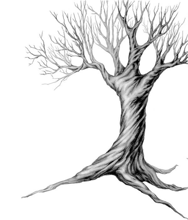 Simple Tree Of Life Drawing