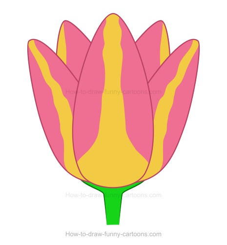 465x502 How To Draw A Tulip