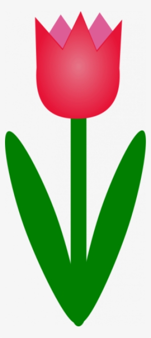 300x668 Tulip Png, Transparent Tulip Png Image Free Download