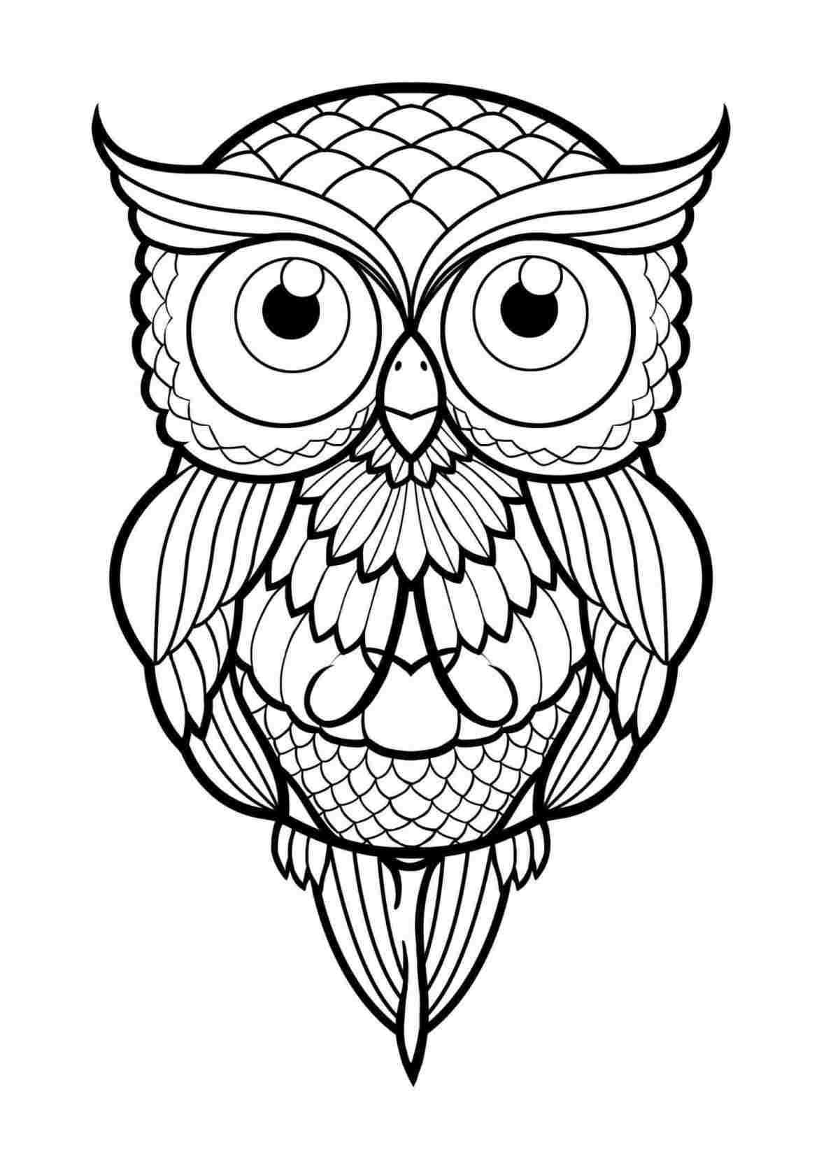 1191x1657 Easy Owl Drawings In Pencil