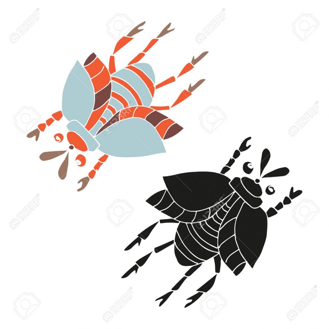 1084x1084 Turkey Drawing Realistic Tags Easy Face Drawings Turkey Cool