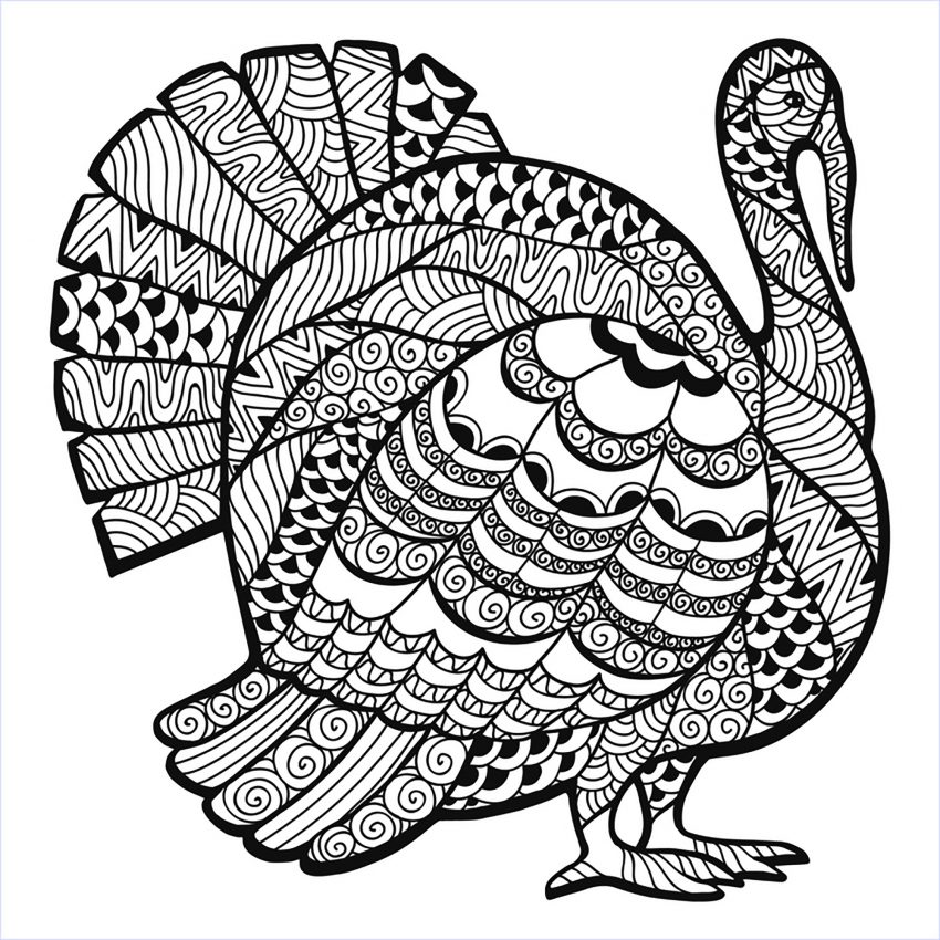 850x850 Turkey Zentangleg Sheet Thanksgiving Adult Pages