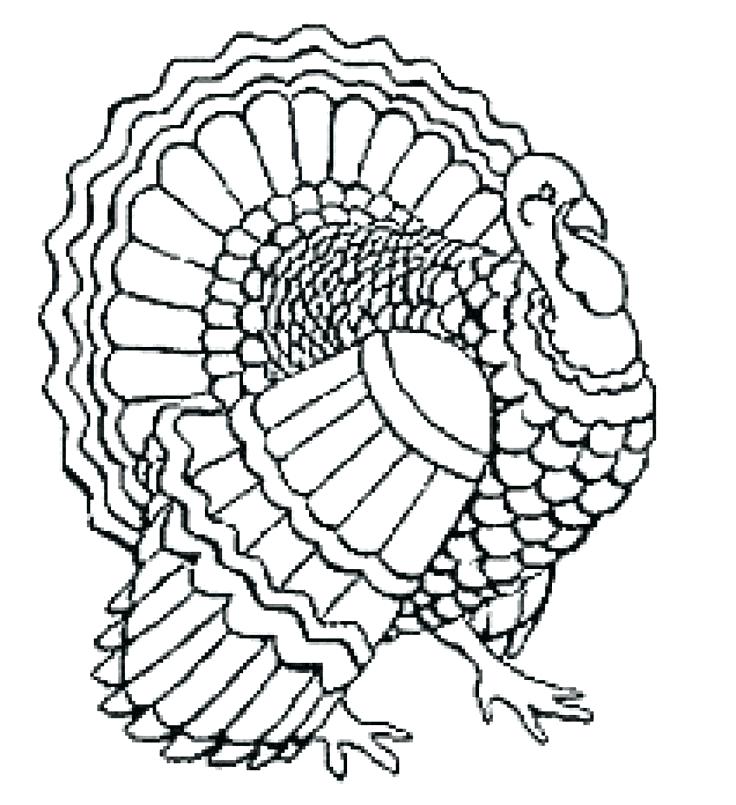 736x805 Coloring Pages Of A Turkey Thanksgiving Best Free For Toddlers