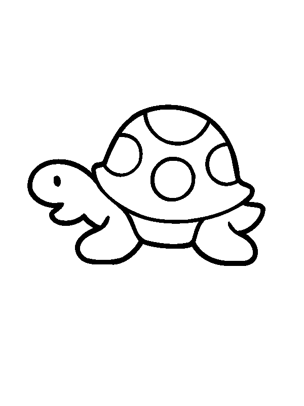 600x800 Easy Turtle Drawings