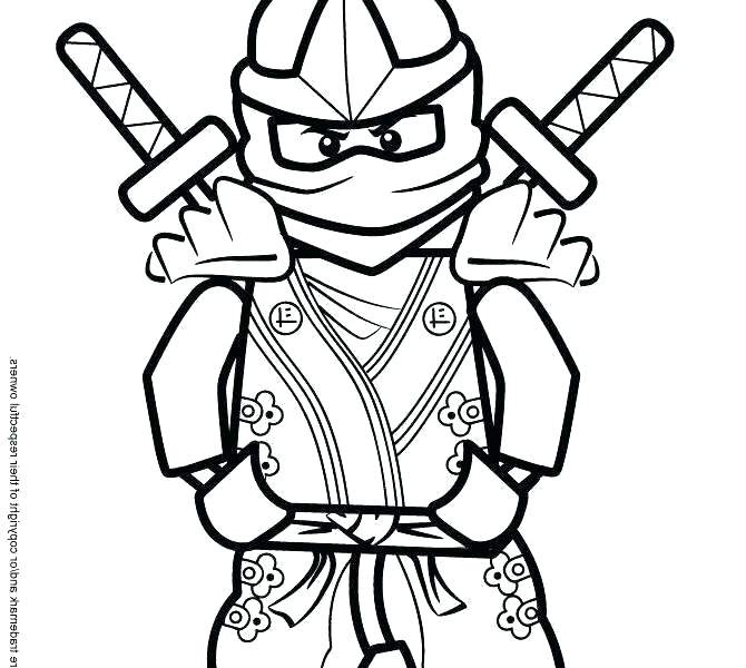 670x600 Simple Turtle Drawings Kitchen