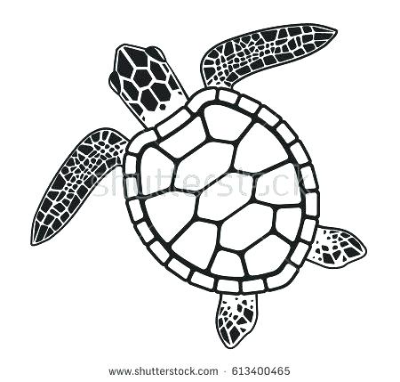 450x429 Turtle Drawings Ways To Draw A Turtle Turtle Cartoon Easy