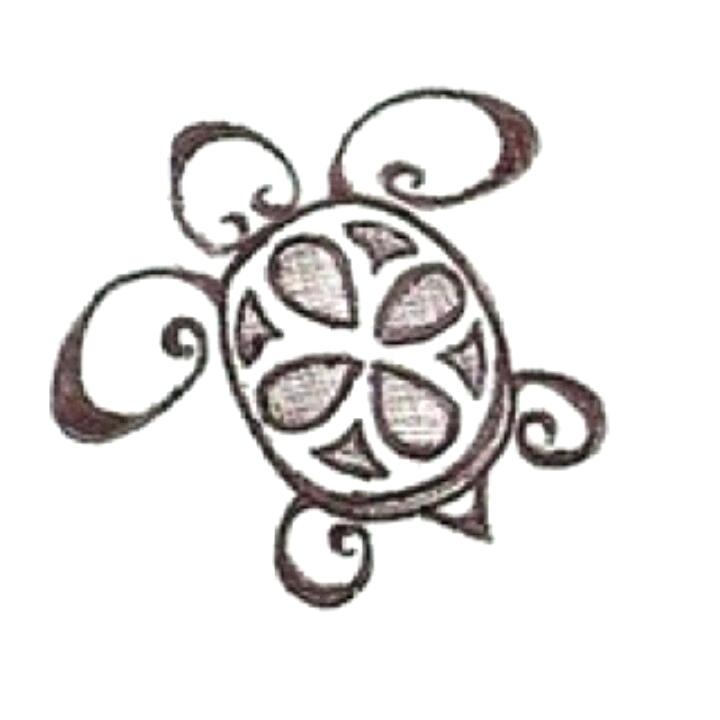 720x720 Cute Turtle Drawing Cute Turtle Drawing Into Their Turtle Shell