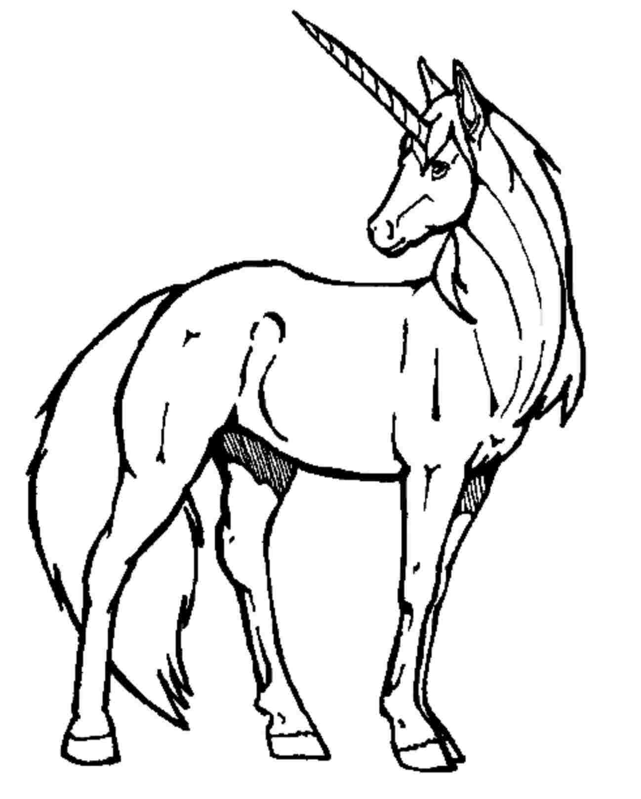 simple-unicorn-drawing-free-download-on-clipartmag