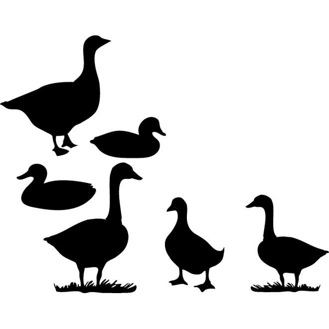 660x660 Simple Black Silhouette Duck Sketch Set Vector Drawing