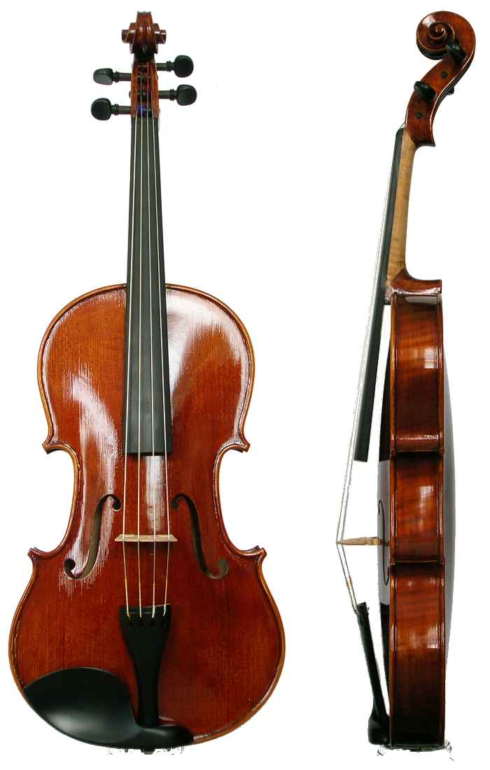 700x1100 Viola