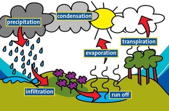 344x226 The Water Cycle
