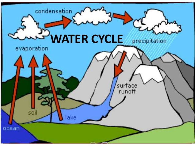 638x479 Water Cycle