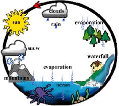 236x209 Best Water Cycle Diagram Images Science Activities, Teaching