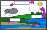 150x98 Diagrams Of The Water Cycle Printable Diagram
