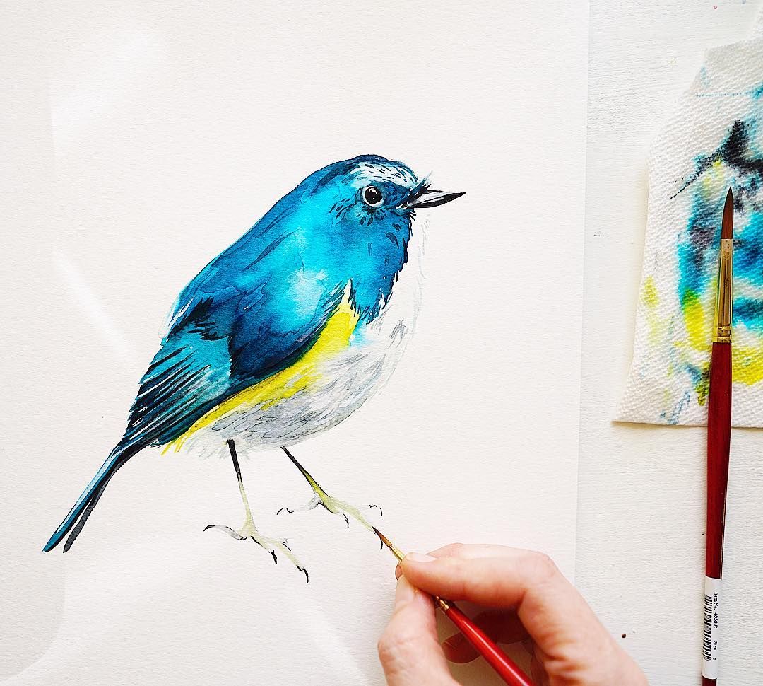 1080x970 How To Paint A Watercolor Bluebird Watercolor Bird Tutorial