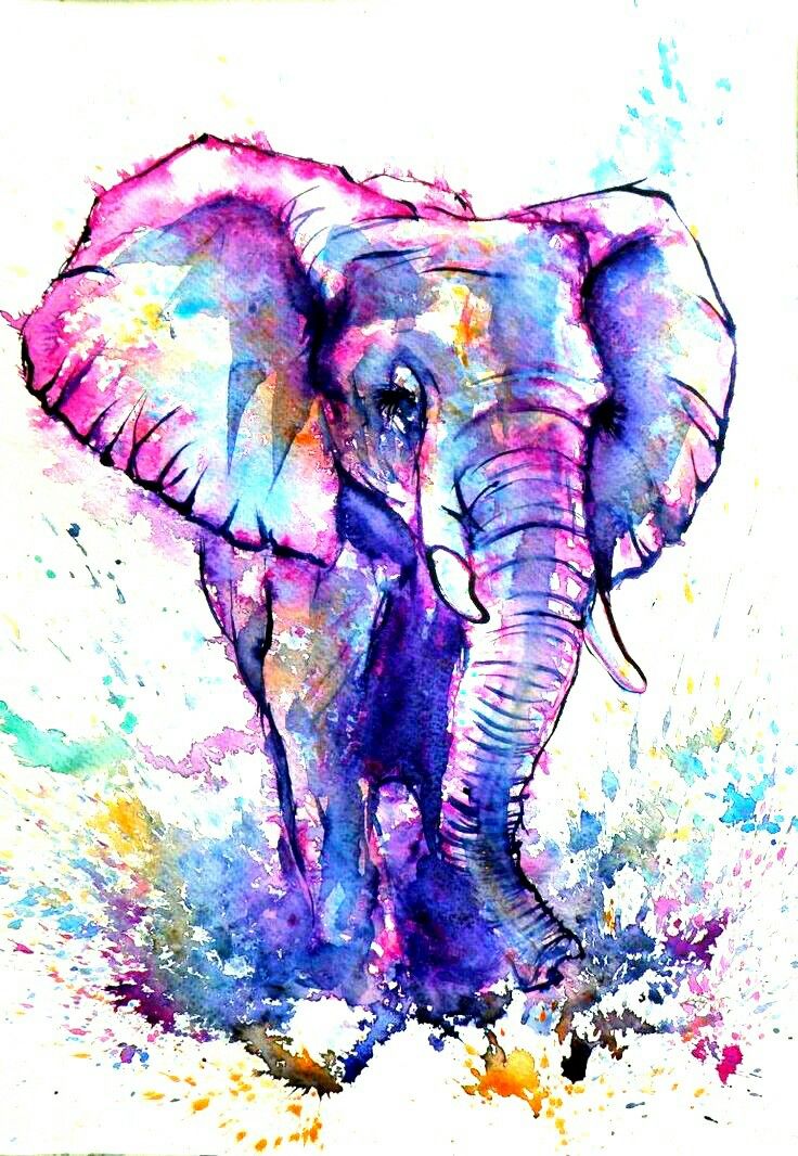 736x1066 Elephants Hippos Rhinos Watercolor Art