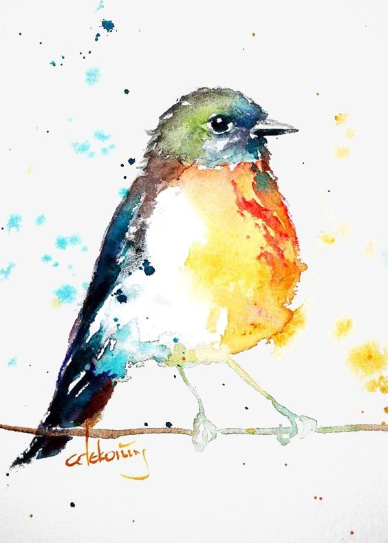 564x789 Birds, Animal, Watercolor Png Image And Clipart For Free Download