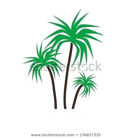 450x470 Simple Palm Tree Simple Palm Tree Drawing