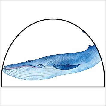 355x355 Simple Modern Semi Circular Non Slip Carpet Water