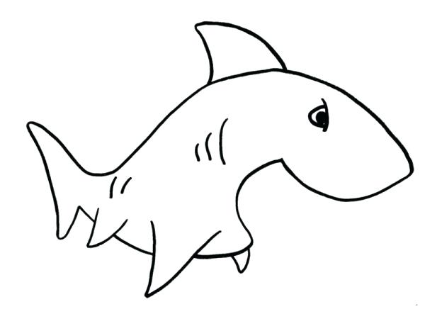 600x436 Simple Drawing Of A Shark