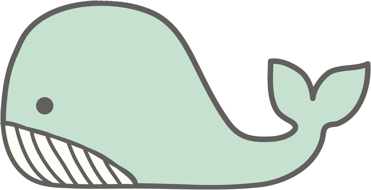1276x654 Simple Cute Mint Green Whale Cartoon Drawing Vinyl