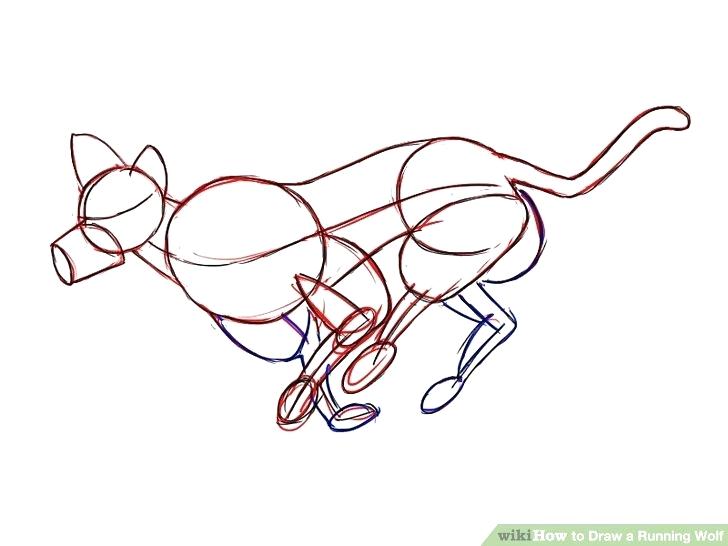 728x546 Easy Drawings Of Wolves How To Draw A Simple Wolf Head Easy