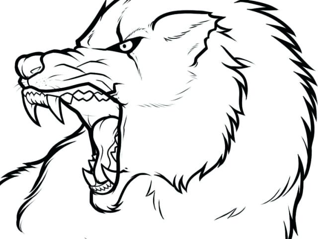 Simple Wolf Howling Drawing | Free download on ClipArtMag
