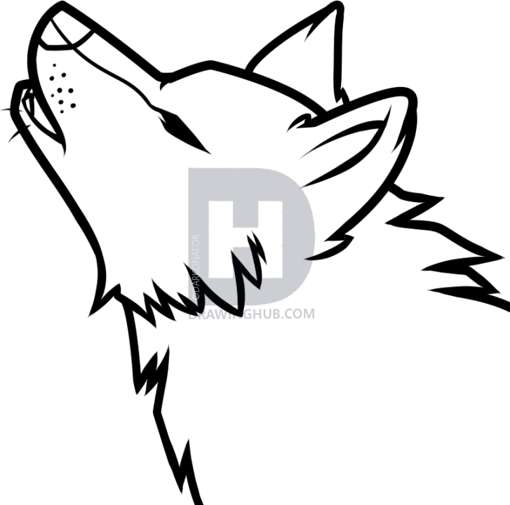 727x720 How To Draw A Howling Wolf Easy, Step