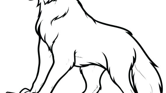 570x320 How To Draw A Simple Wolf Draw Wolf Howling How To Draw A Simple