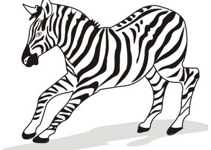 Simple Zebra Drawing