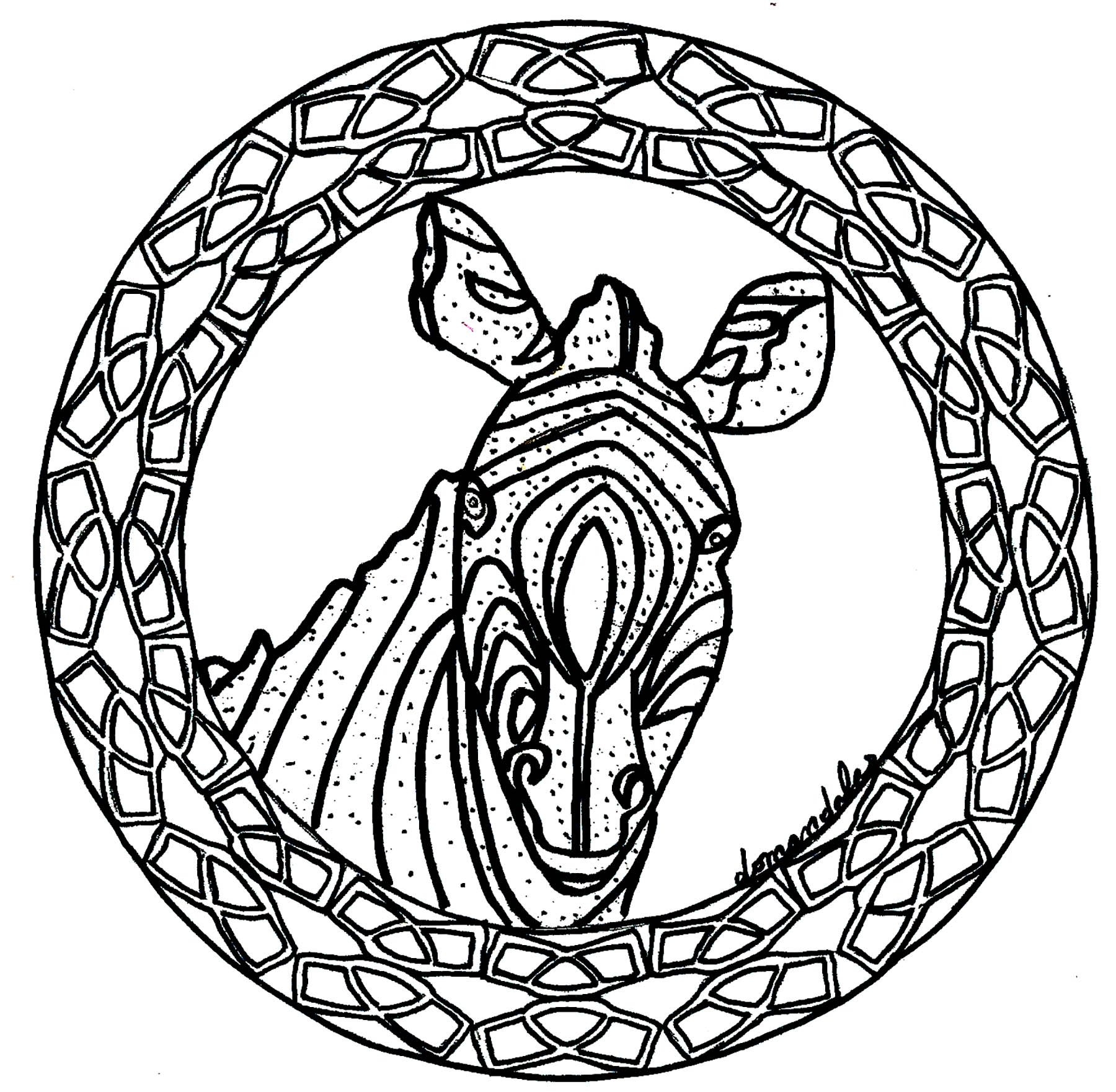 1800x1761 Mandala Zebra Simple Malas Adult Coloring Pages