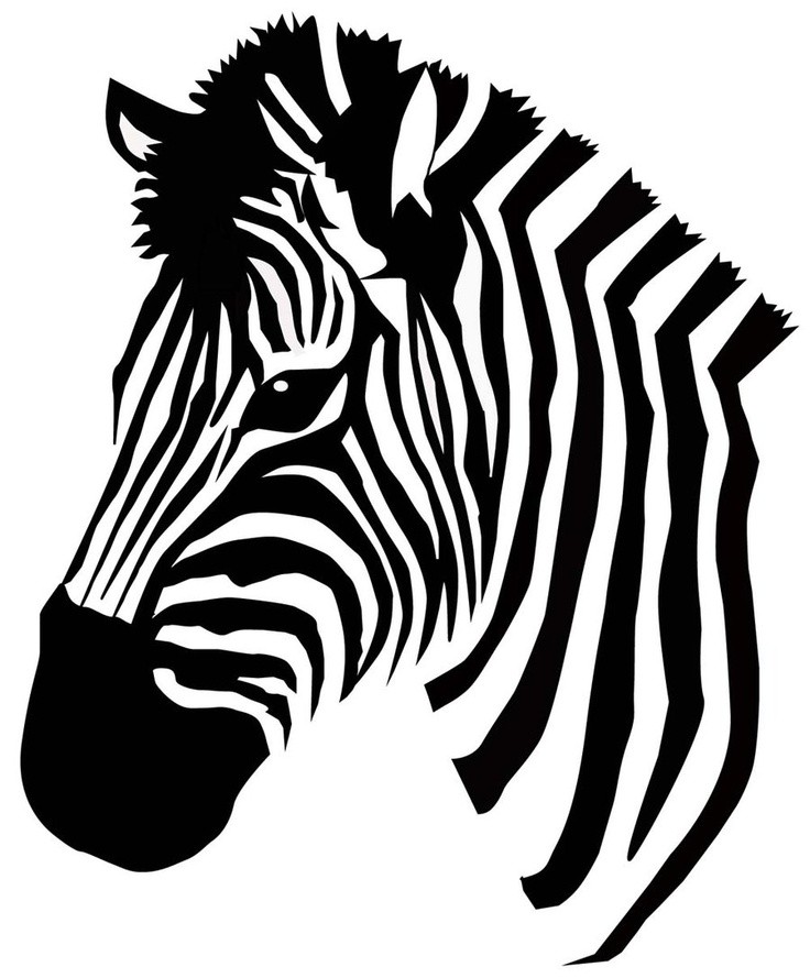 736x889 Simple Black And White Zebra Head Tattoo Design