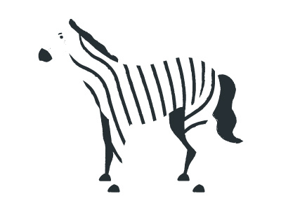 400x300 Zebra