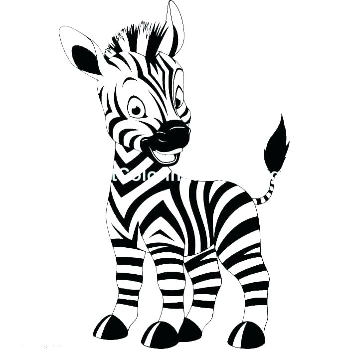 700x700 Zebra Drawing For Kids