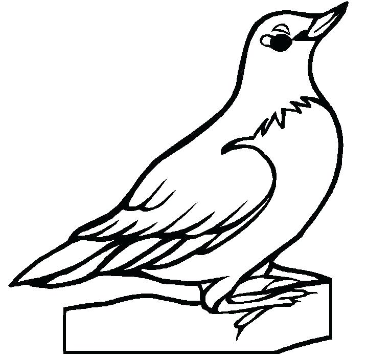 718x693 Outline Drawings Of Birds Clip Art Library Flying Simple Bird Draw