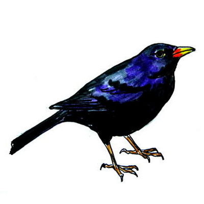 400x400 Singing Birds Drawing Drawing And Crafts