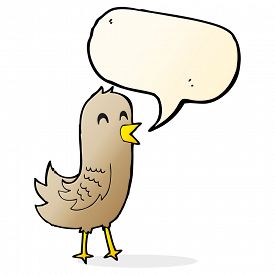 275x275 Singing Birds Photos And Images