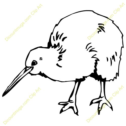 500x500 line drawings of kiwi similar galleries kiwi bird drawing
