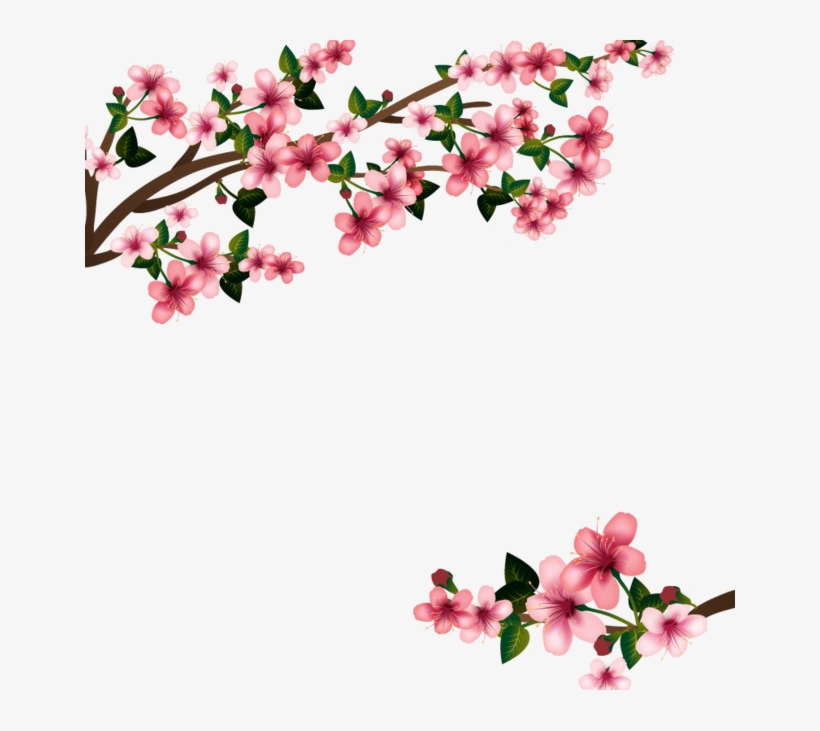 820x731 Japanese Flowering Cherry Png Transparent Image