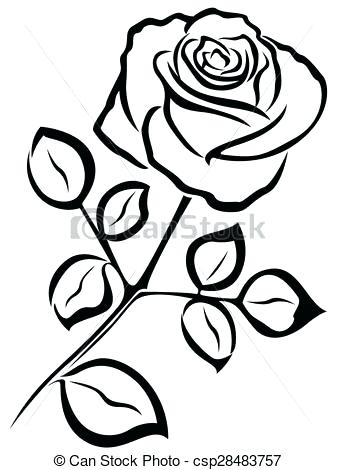 337x470 Rose Flower Diagram