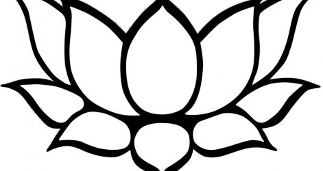 471x250 Black And White Lily Flower Drawing Images Single Tumblr Beautiful