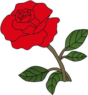 300x324 Single Red Rose Drawing