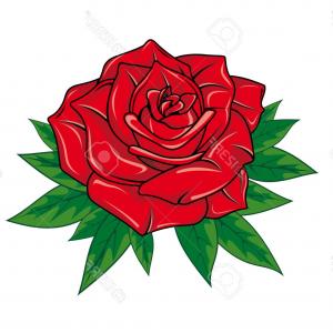 300x300 Single Rose Black And White Clip Art Sohadacouri