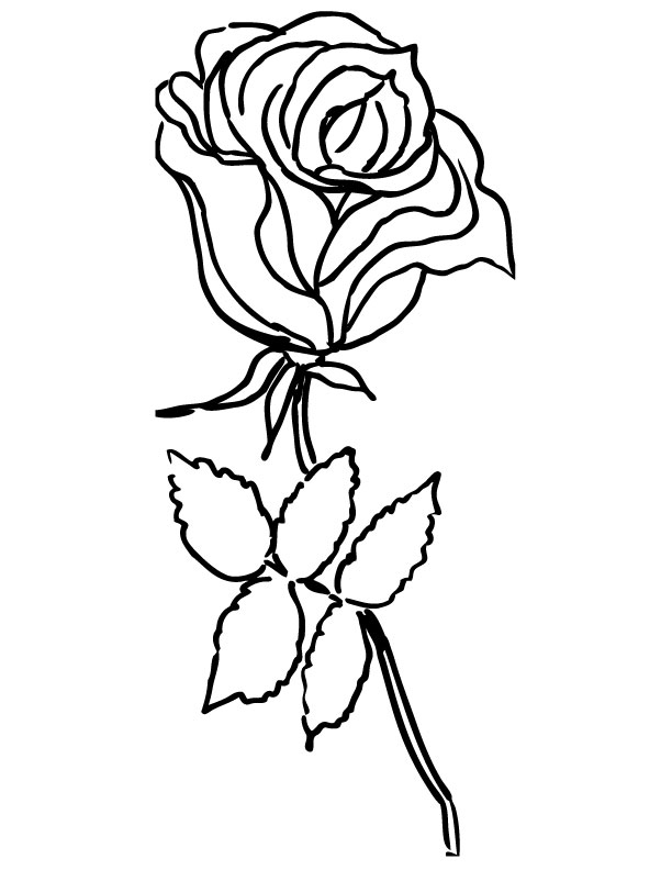 612x792 Images Of Simple Single Rose Outline