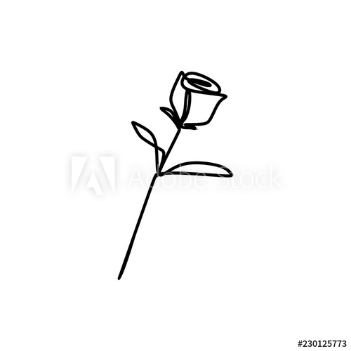 500x500 Rose Drawing Vector Using Continuous Single One Line Art Style
